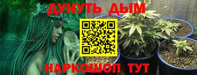 тгк Пугачёв