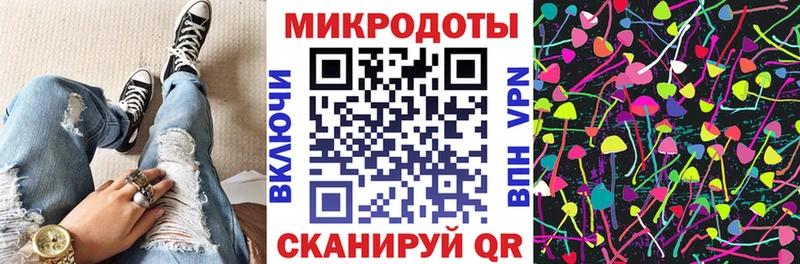 купить наркоту  Усть-Кут  Псилоцибиновые грибы Psilocybine cubensis 