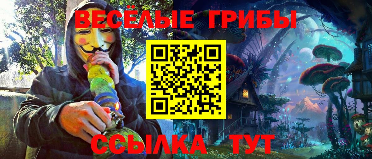 Псилоцибиновые грибы Psilocybine cubensis  Вход с VPN  Усть-Кут 