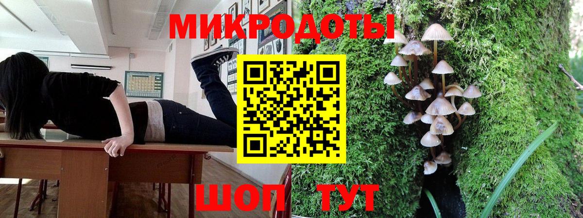 Галлюциногенные грибы мухоморы Усть-Кут